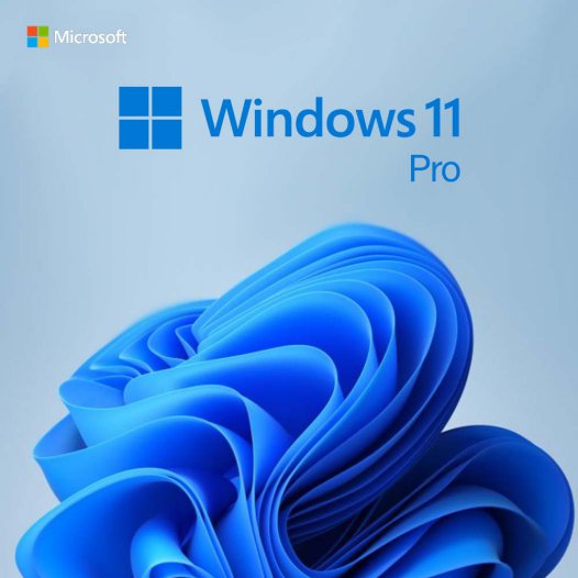 Windows 11 Pro Cover mit Microsoft-Logo, Windows-Symbol und abstraktem blauem Wellenmotiv